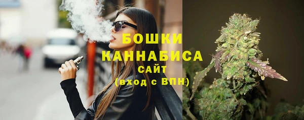 СК Краснослободск