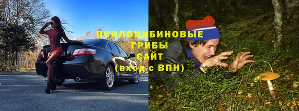 а пвп мука Костерёво