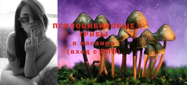 СК Краснослободск