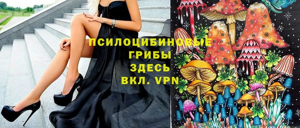СК Краснослободск