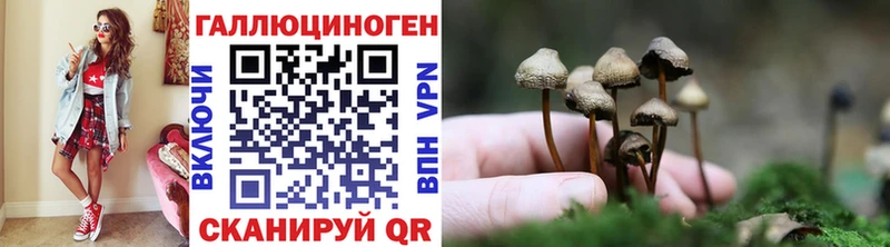 Галлюциногенные грибы MAGIC MUSHROOMS купить наркотик Темников